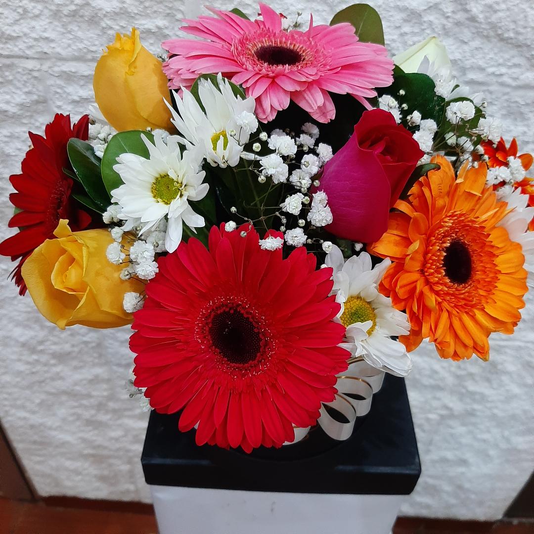 Envio y venta de flores ,rosas, plantas,arreglos florales ,regalos y desayunos a domicilio con delivery gratis en la Ciudad Autonoma de Buenos Aires y con costo de envo en localidades del Gran Buenos Aires asi como delivery de flores y plantas a travs de florerias asociadas en todas las provincias de la Argentina, Buenos Aires, la Pampa, Tucuman, La Rioja, Ro Negro, Entre Rios, Corrientes, Misiones, Neuquen, Chubut, Tierra del Fuego, Santa Cruz, San Luis, Mendoza, Cordoba, Jujuy, Formosa, Santiago del Estero, Salta, Chaco, Catamarca ,San Juan, y ademas realizamos el delivery de flores ,coronas,palmas , plantas y regalos a todas las ciudades de Argentina, Mar del Plata, Crdoba, Buenos Aires, con cargo en Santa Rosa, La Plata, Bella Vista, Neuquen, Pilar, Paran, Posadas, Resistencia, Cipolleti y mas de 300 ciudades y localidades en todo el territorio de nuestro pas, asi como tambien tenemos la posibilidad de enviar flores a casi todo el mundo en cuestion de horas